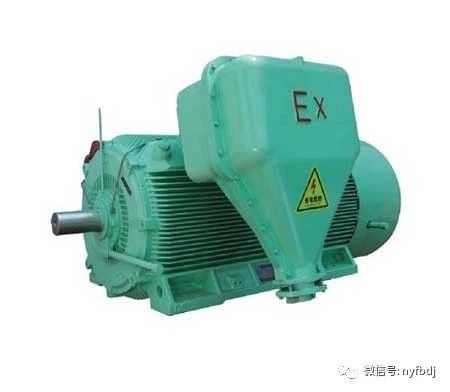 高壓防爆電機常見故障分析(圖1)