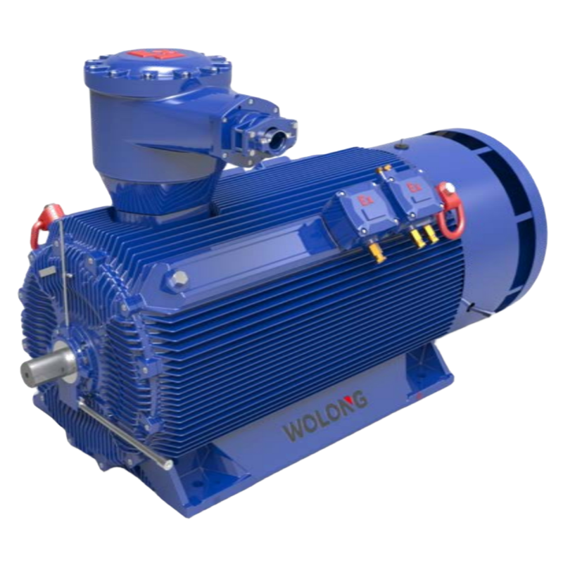 高壓防爆電機(jī)：穩(wěn)定動(dòng)力，適用于特殊環(huán)境