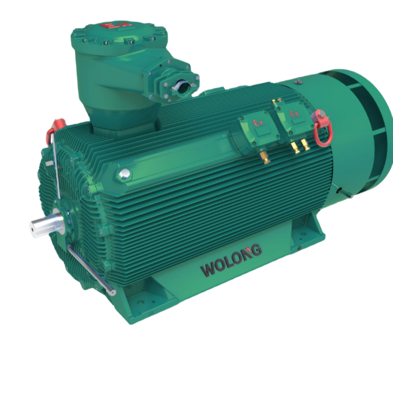 TBYBP系列高壓隔爆型變頻永磁三相同步電動(dòng)機(jī)(機(jī)座號(hào)355_560 - 副本.png TBYBP系列高壓隔爆型變頻永磁三相同步電動(dòng)機(jī)(機(jī)座號(hào)355_560 - 副本.png