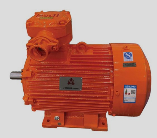 防爆電機(jī)常見(jiàn)問(wèn)題：防爆等級(jí)的選擇與誤區(qū)
