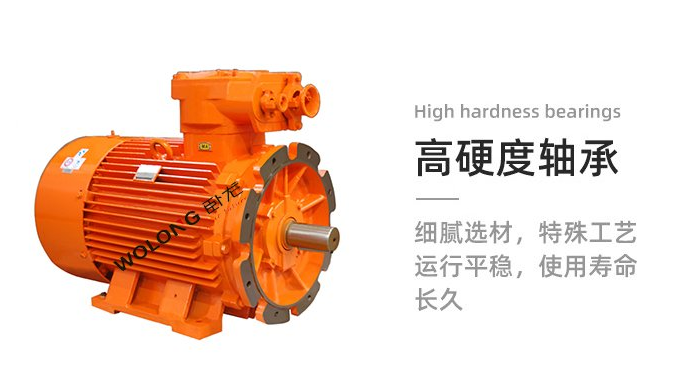 變頻電機(jī)技術(shù)突圍：從節(jié)能革命到智能未來，看南陽防爆電機(jī)如何領(lǐng)跑行業(yè)