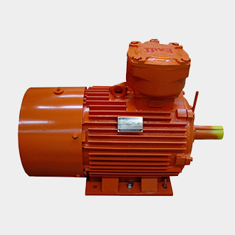 購(gòu)買(mǎi)防爆電機(jī)的注意事項(xiàng)有哪些
